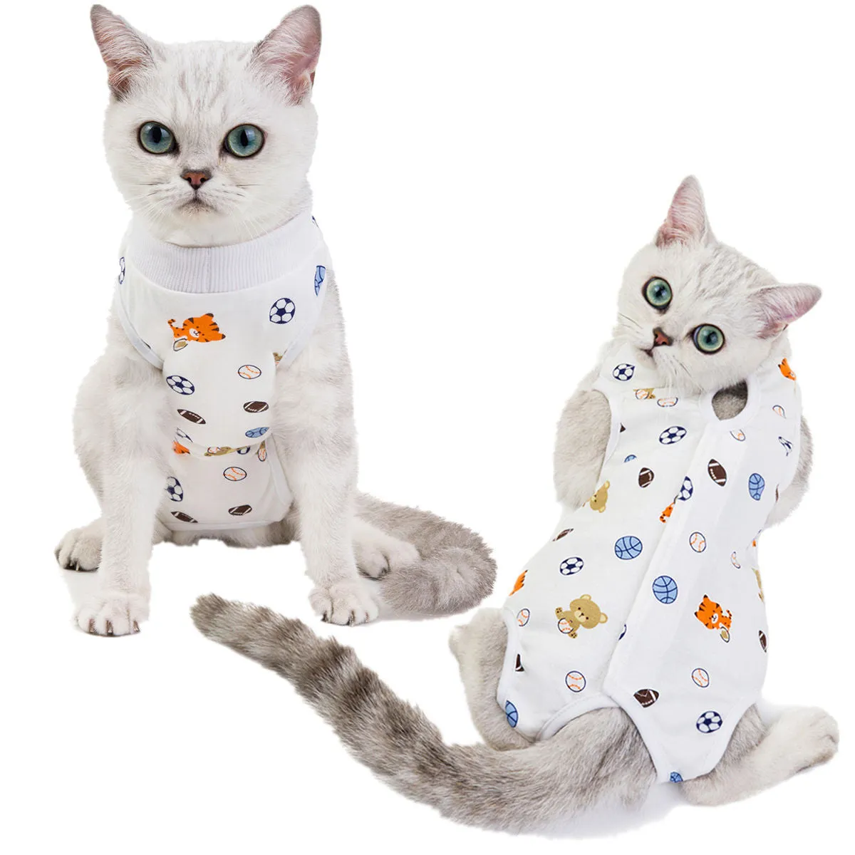 Fruit pattern pet clothing sterilization suit for cat