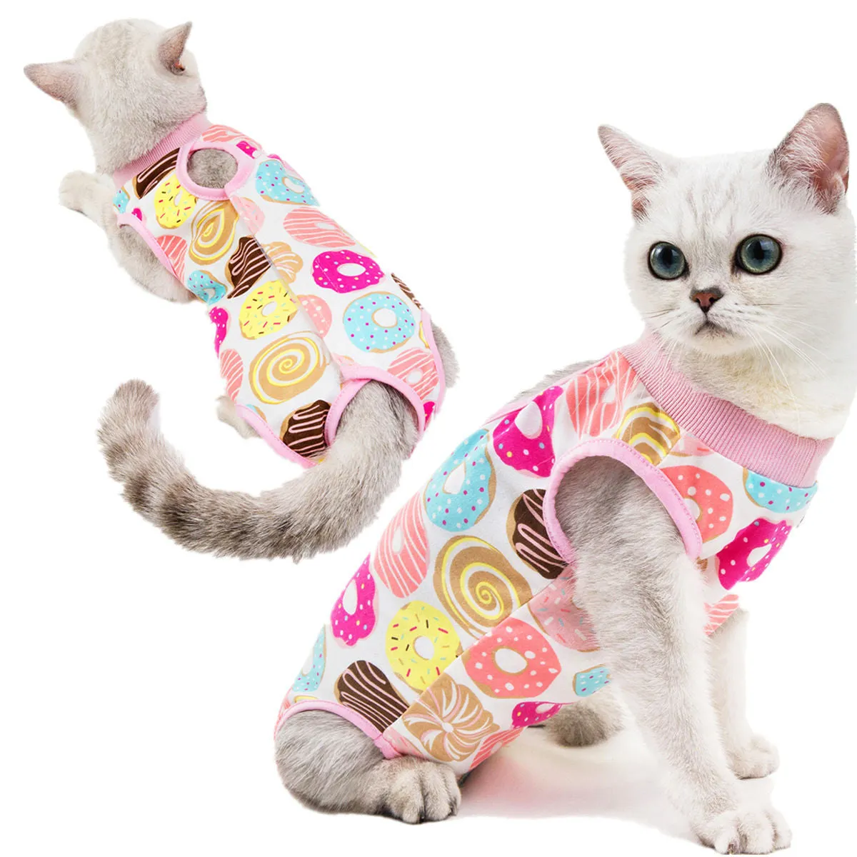 Fruit pattern pet clothing sterilization suit for cat