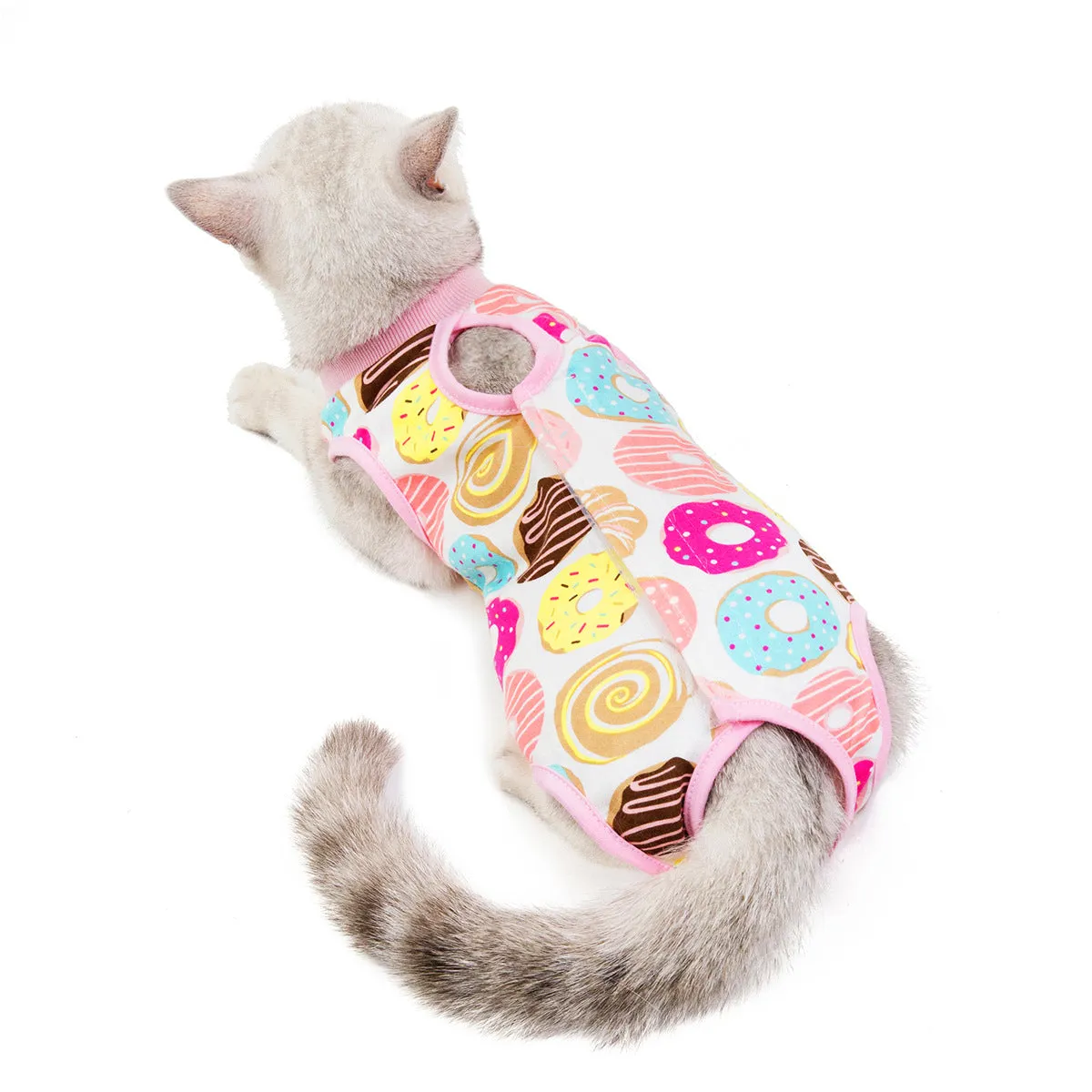 Fruit pattern pet clothing sterilization suit for cat