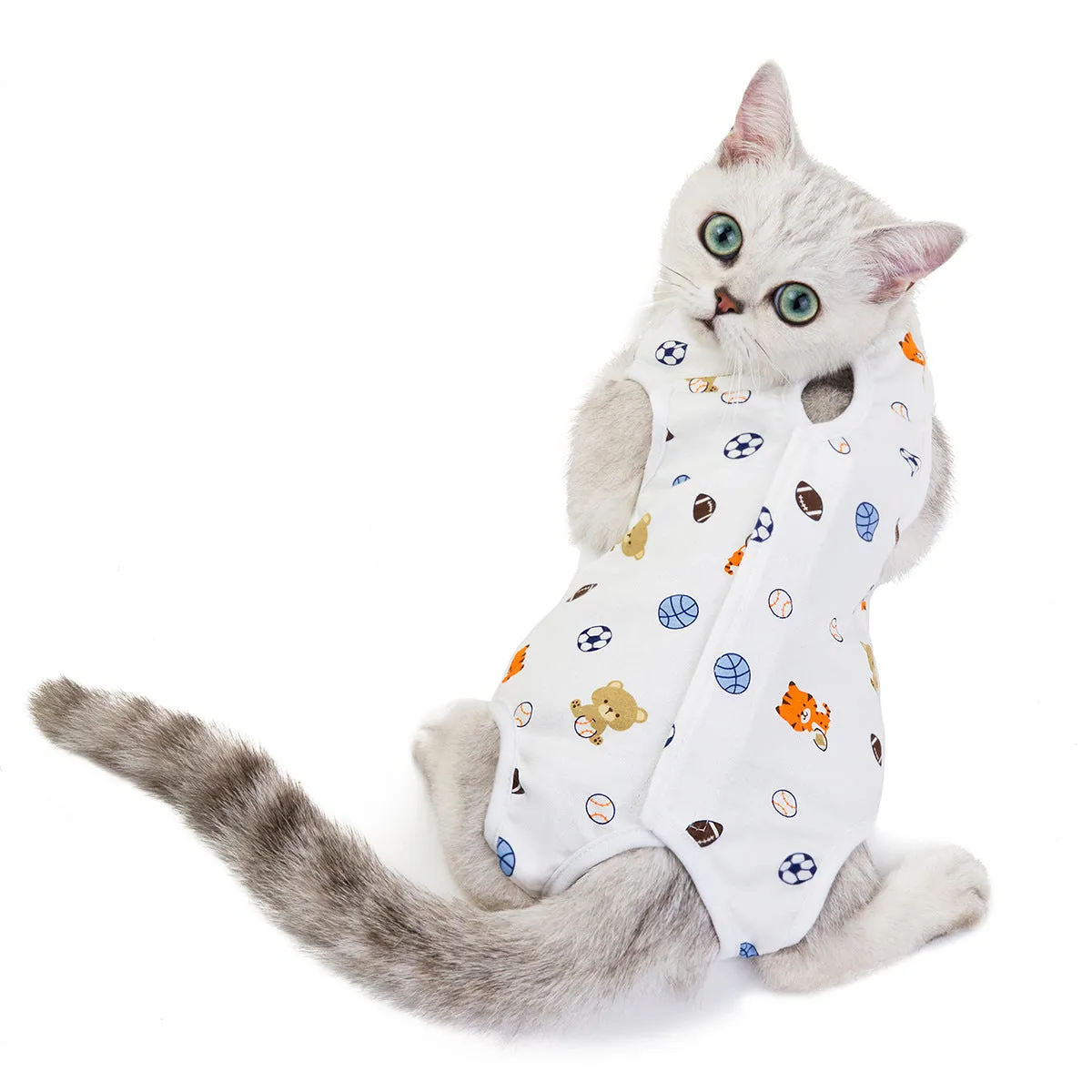 Fruit pattern pet clothing sterilization suit for cat