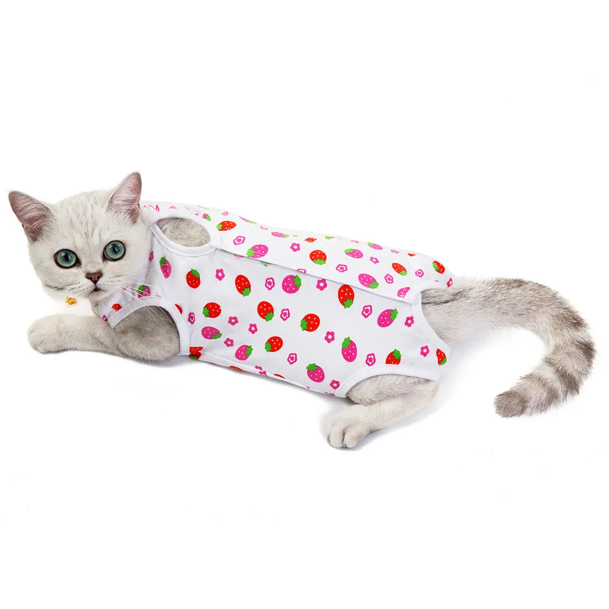Fruit pattern pet clothing sterilization suit for cat