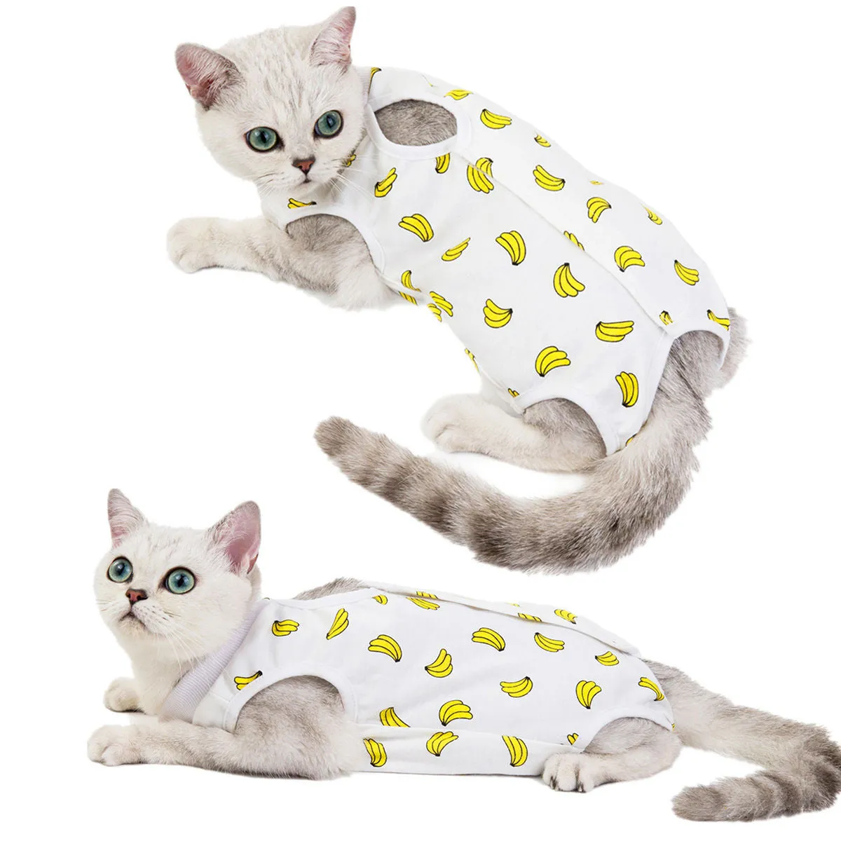 Fruit pattern pet clothing sterilization suit for cat