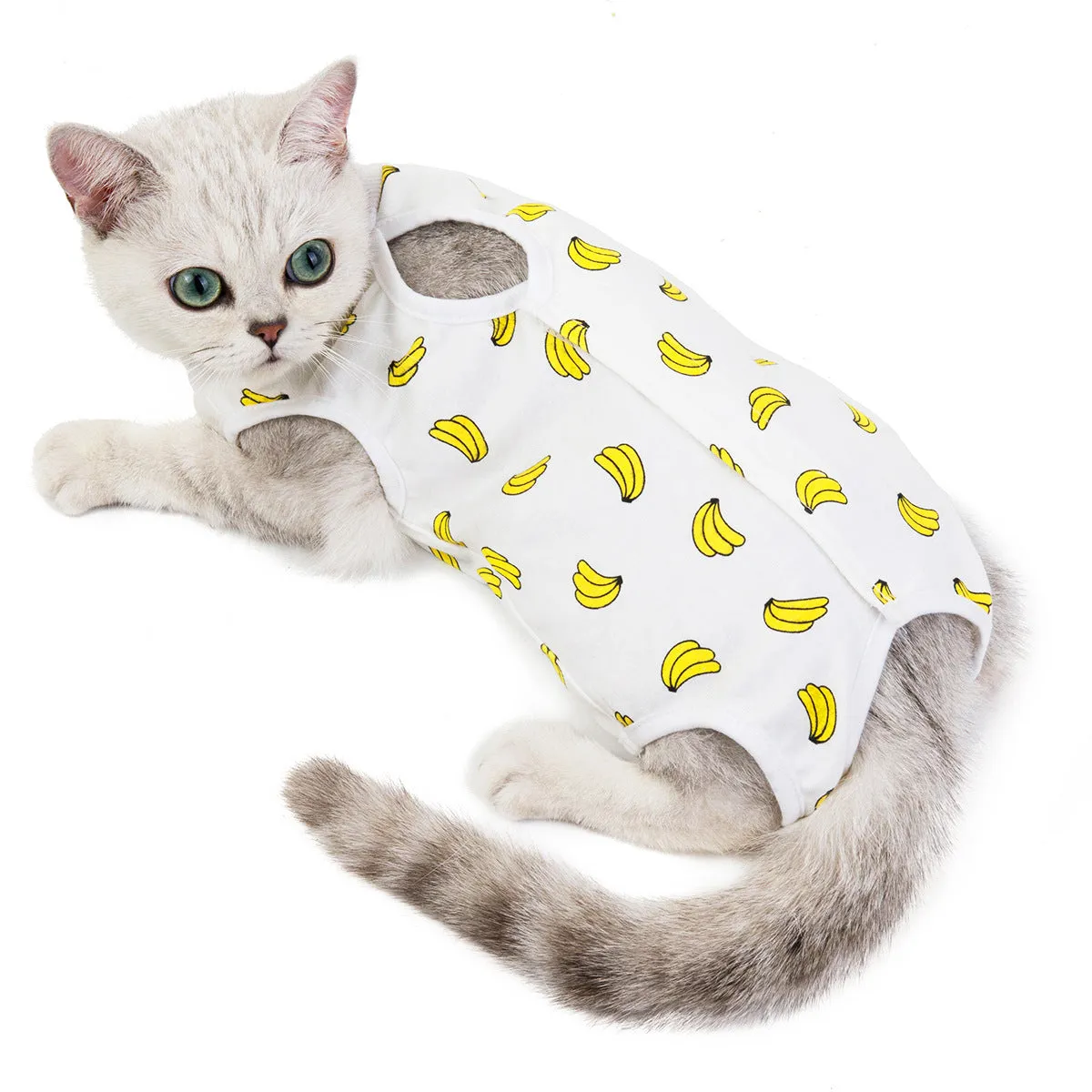 Fruit pattern pet clothing sterilization suit for cat
