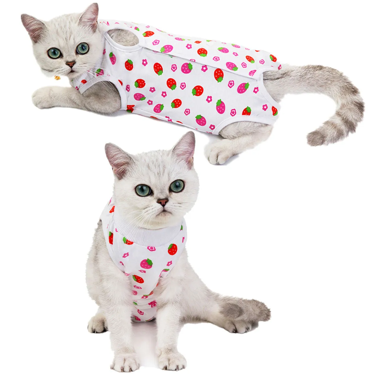 Fruit pattern pet clothing sterilization suit for cat