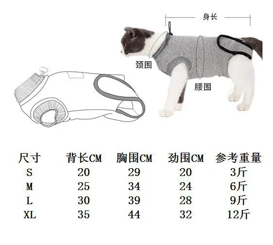 Fruit pattern pet clothing sterilization suit for cat