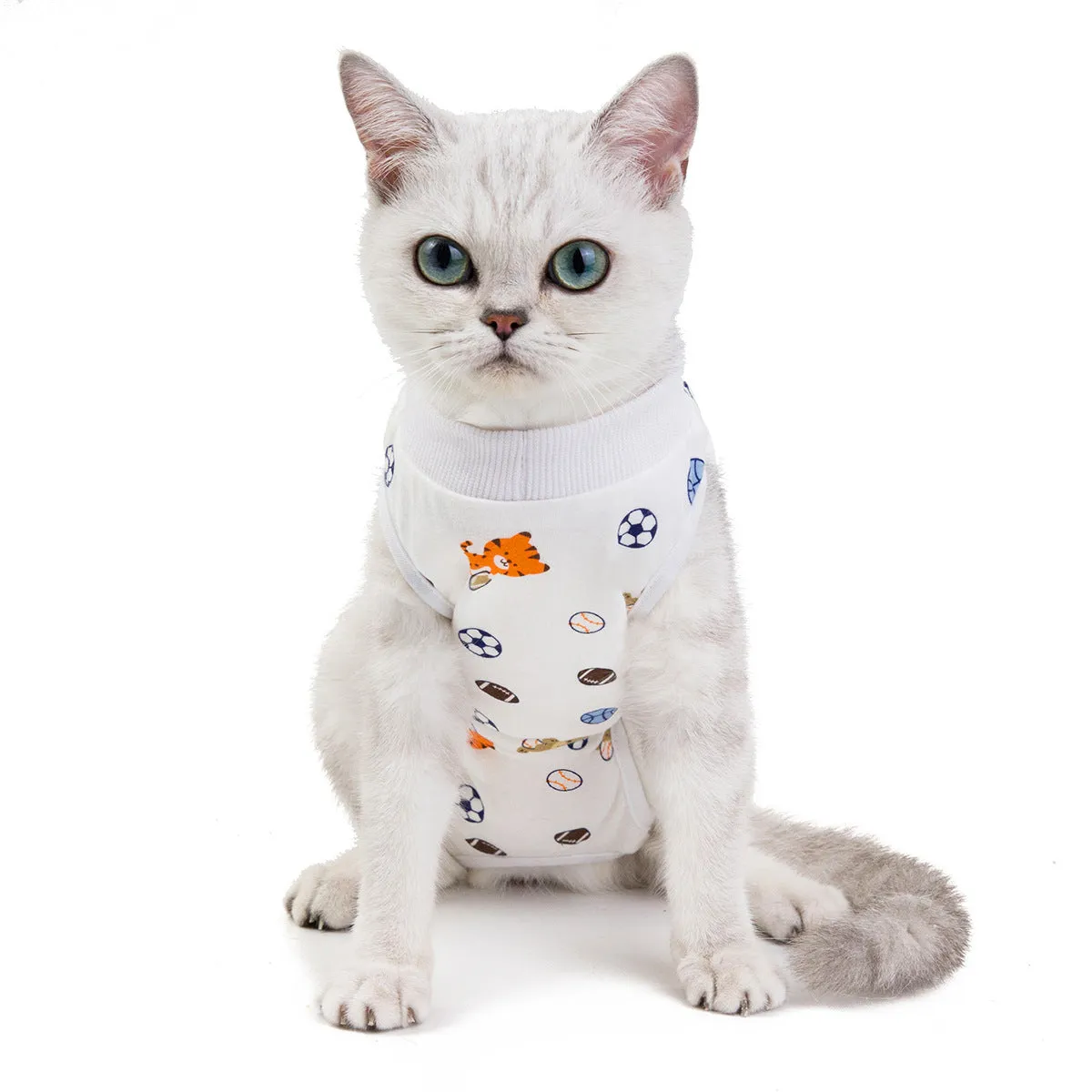 Fruit pattern pet clothing sterilization suit for cat