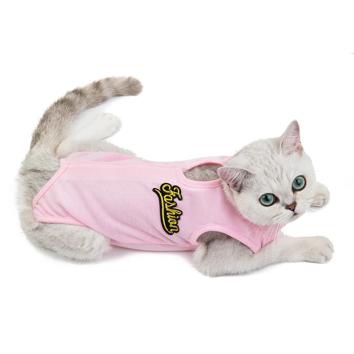 Fruit pattern pet clothing sterilization suit for cat